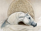 Renato Casaro   Arabian Pride Kunstdruk 80x60cm | Yourdecoration.be