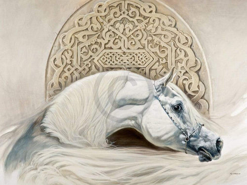 Renato Casaro   Arabian Pride Kunstdruk 80x60cm | Yourdecoration.be