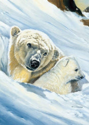 Renato Casaro   Eisbär Mama Kunstdruk 50x70cm | Yourdecoration.be