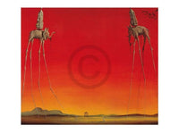 Salvador Dali   Les Elephants Kunstdruk 80x60cm | Yourdecoration.be
