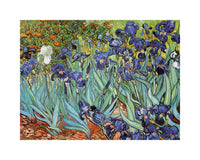 Vincent Van Gogh   Iris Kunstdruk 30x24cm | Yourdecoration.be