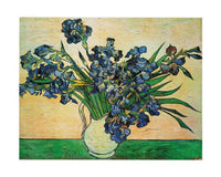 Vincent Van Gogh   Iris Strauss, 1890 Kunstdruk 50x40cm | Yourdecoration.be