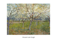 Vincent Van Gogh   The Orchard Kunstdruk 70x50cm | Yourdecoration.be