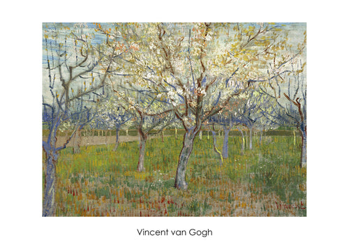 Vincent Van Gogh   The Orchard Kunstdruk 70x50cm | Yourdecoration.be