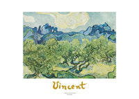 Vincent Van Gogh   Landscapes with olive trees Kunstdruk 70x50cm | Yourdecoration.be