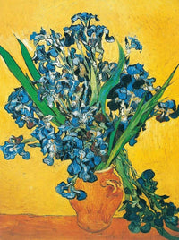 Vincent Van Gogh   Les iris Kunstdruk 60x80cm | Yourdecoration.be