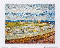 Vincent Van Gogh   Pesco in fiore Kunstdruk 30x24cm | Yourdecoration.be