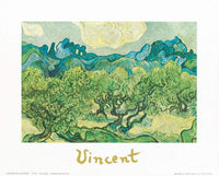 Vincent Van Gogh   Landscapes with olive trees Kunstdruk 30x24cm | Yourdecoration.be