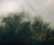 Komar Tales of the Carpathians Vlies Fotobehang 300x250cm 3 banen | Yourdecoration.be