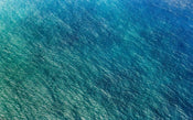 Komar Blaupause Vlies Fotobehang 400x250cm 4 banen | Yourdecoration.be