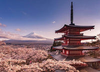 Pyramid Mount Fuji Blossom Poster 140x100cm | Yourdecoration.be