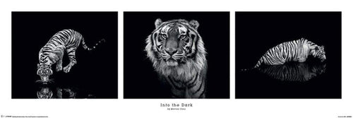 Pyramid Marina Cano Into the Dark Poster 91,5x30,5cm | Yourdecoration.be