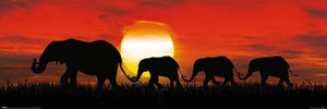 Pyramid Sunset Elephants Poster 91,5x30,5cm | Yourdecoration.be