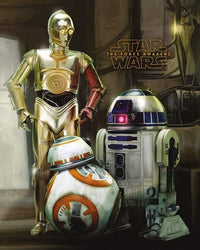 Pyramid Star Wars Episode VII Droids Poster 40x50cm | Yourdecoration.be