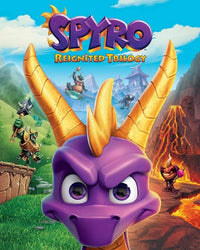 Pyramid Spyro Game Cover Art Poster 40x50cm | Yourdecoration.be