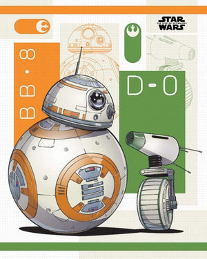 Pyramid Star Wars The Rise of Skywalker BB 8 and D 0 Poster 40x50cm | Yourdecoration.be
