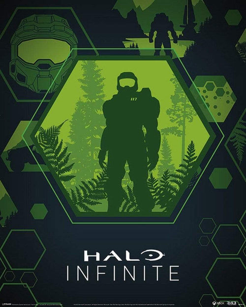 Pyramid Halo Infinite Master Chief Hex Poster 40x50cm | Yourdecoration.be