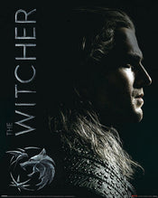 Pyramid The Witcher Shadows Embrace Poster 40X50cm | Yourdecoration.be