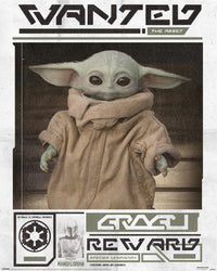 pyramid mpp50817 star wars the mandalorian grogu wanted poster 40x50cm | Yourdecoration.be