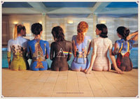 Pyramid Pink Floyd Back Catalogue Poster 91,5x61cm | Yourdecoration.be