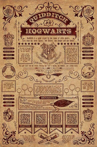 Pyramid Harry Potter Quidditch At Hogwarts Poster 61x91,5cm | Yourdecoration.be