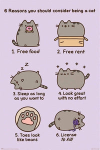 Pyramid Pusheen Reasons to be a Cat Poster 61x91,5cm | Yourdecoration.be