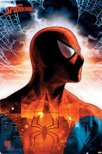 Pyramid Spider Man Protector of the City Poster 61x91,5cm | Yourdecoration.be
