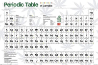 Pyramid Periodic Table Cannabis Poster 61x91,5cm | Yourdecoration.be