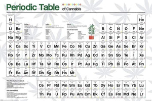 Pyramid Periodic Table Cannabis Poster 61x91,5cm | Yourdecoration.be