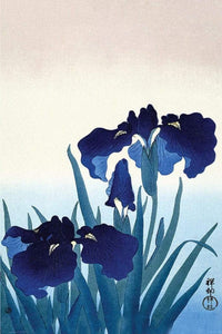 Pyramid Ohara Koson Iris Flowers Poster 61x91,5cm | Yourdecoration.be