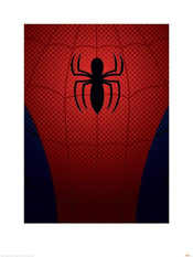 Pyramid Ultimate Spider Man Spider Man Torso Kunstdruk 60x80cm | Yourdecoration.be