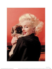 Pyramid Marilyn Monroe Love Kunstdruk 60x80cm | Yourdecoration.be