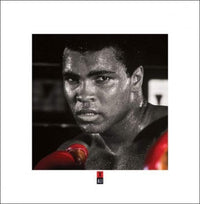 Pyramid Muhammad Ali Boxing Gloves Kunstdruk 40x40cm | Yourdecoration.be