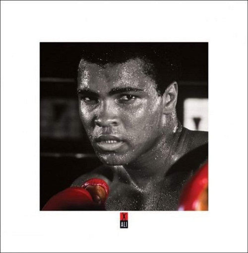 Pyramid Muhammad Ali Boxing Gloves Kunstdruk 40x40cm | Yourdecoration.be