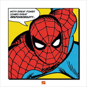 Pyramid Spider Man With Great Power Kunstdruk 40x40cm | Yourdecoration.be