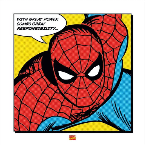 Pyramid Spider Man With Great Power Kunstdruk 40x40cm | Yourdecoration.be