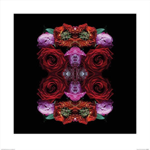 Pyramid Alyson Fennell Paradise of Petals Kunstdruk 60x60cm | Yourdecoration.be