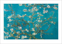 Pyramid Van Gogh Almond Blossom San Ramy 1890 Kunstdruk 50x70cm | Yourdecoration.be