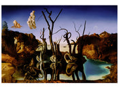 Salvador Dali   Reflections of Elephants Kunstdruk 80x60cm | Yourdecoration.be