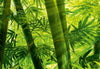 00123_close_up_Bamboo_Forest | Yourdecoration.be