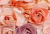 00147_close_up_Flowers | Yourdecoration.be