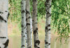 00290_close_up_Nordic_Forest | Yourdecoration.be