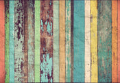 Wizard+Genius Colored Wooden Wall Fotobehang 366x254cm | Yourdecoration.be