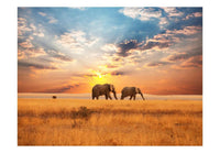 Artgeist Afrikaanse Savanne Olifanten Vlies Fotobehang | Yourdecoration.be