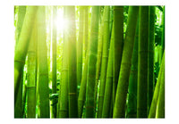 Artgeist Zon en Bamboe Vlies Fotobehang | Yourdecoration.be