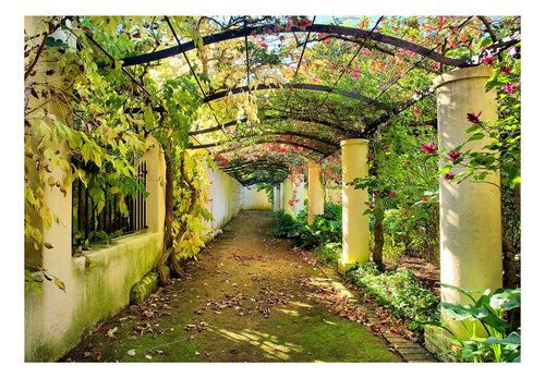 Fotobehang - Pergola - Vliesbehang