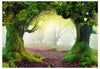 Fotobehang - Enchanted Forest - Vliesbehang