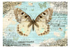 Fotobehang - Postcard with Butterfly - Vliesbehang