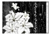 Fotobehang - Crying Lilies - Vliesbehang