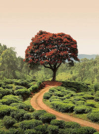 Wizard+Genius Red Tree And Hills In Sri Lanka Vlies Fotobehang 192x260cm 4 banen | Yourdecoration.be